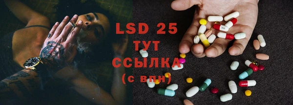 индика Аркадак
