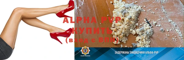 индика Аркадак