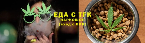 индика Аркадак