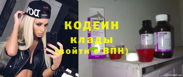 прущие грибы Армянск