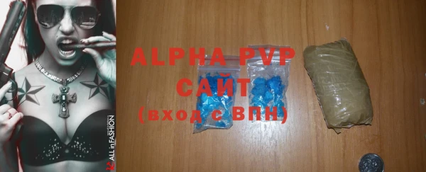 индика Аркадак