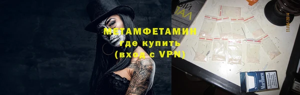прущие грибы Армянск