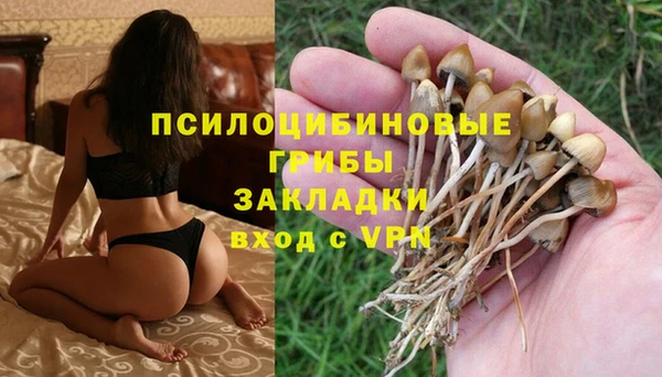 меф Арсеньев