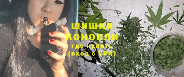 сатива Гусиноозёрск