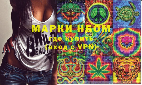индика Аркадак