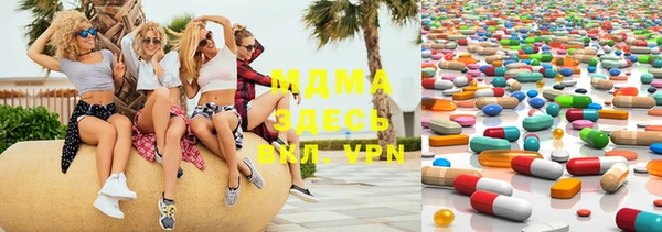 индика Аркадак