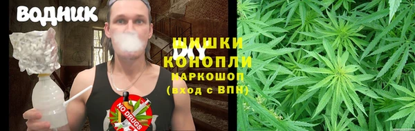 индика Аркадак