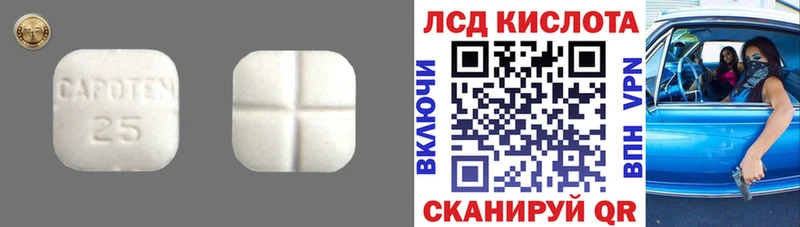 ЛСД экстази ecstasy  Злынка 