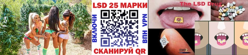 где купить наркоту  Злынка  Марки NBOMe 1500мкг 