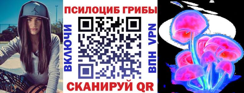 магазин    Злынка  Галлюциногенные грибы прущие грибы 